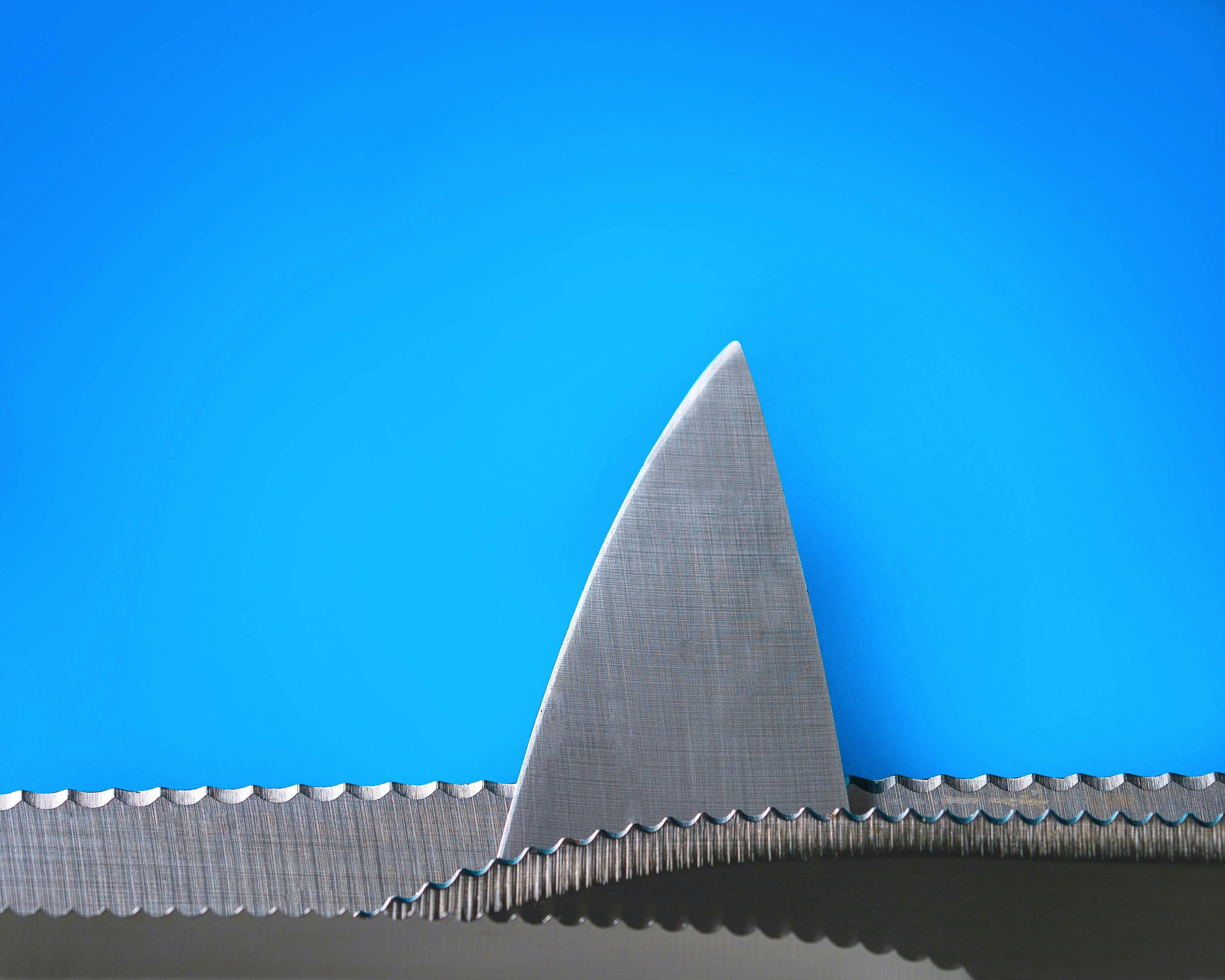 66fdc2d1d4ea38e8c9a5a28f Stoicaionela744391unsplash