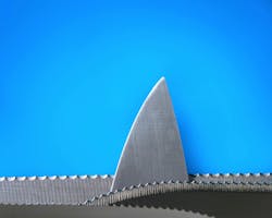 66fdc2d1d4ea38e8c9a5a28f Stoicaionela744391unsplash 66fdc2d1d4ea38e8c9a5a28f Stoicaionela744391unsplash