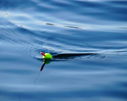 66fdc2d2a897b58c86b206c7 Rainylake667817unsplash 66fdc2d2a897b58c86b206c7 Rainylake667817unsplash