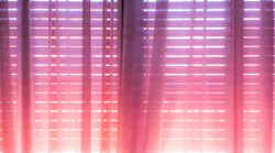Photo: Unsplash/Manu Franco