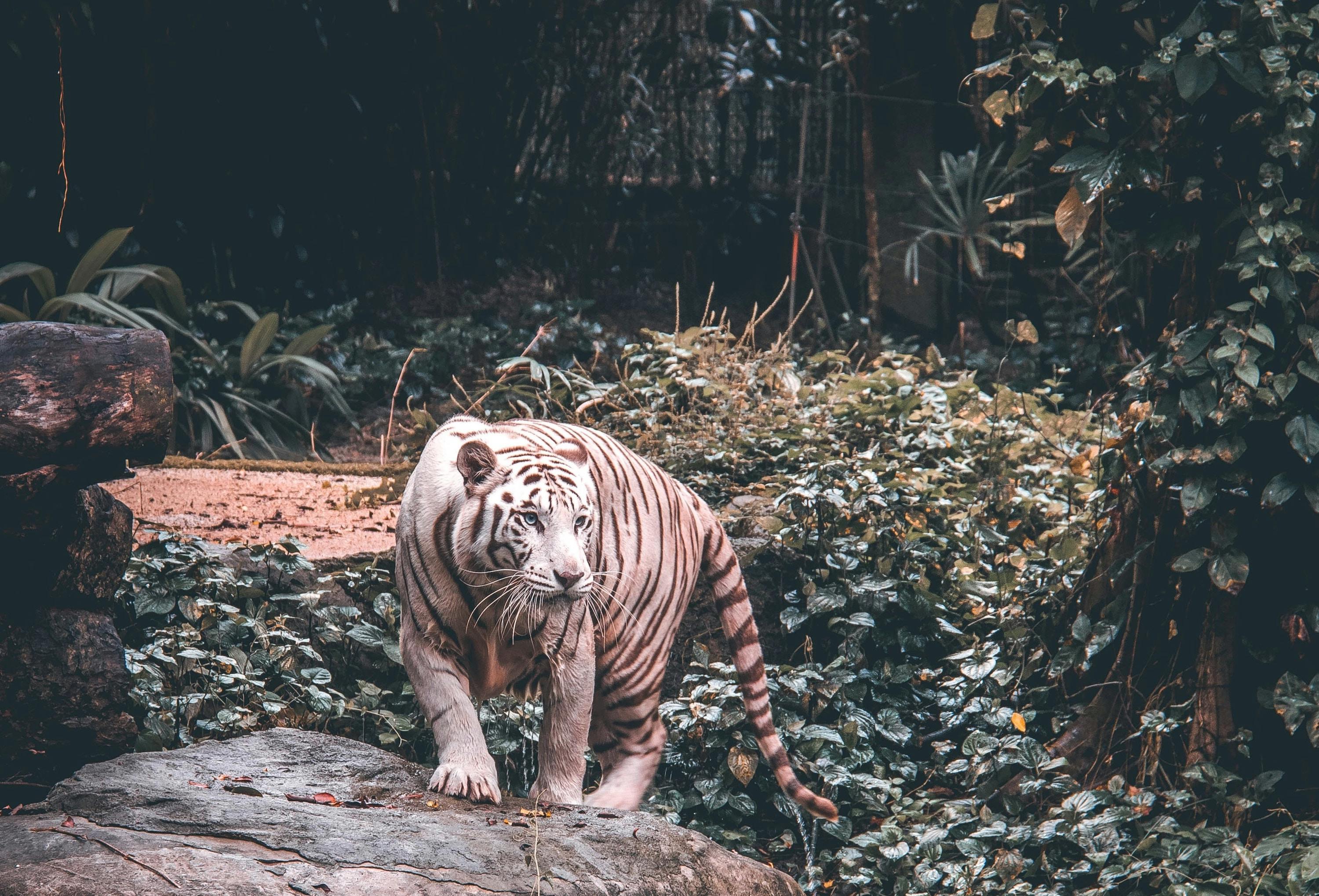 66fdc2e5e1fd4a655ae1f914 Waynechan404139unsplash