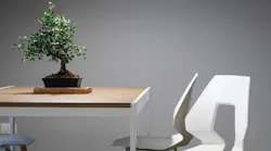 Biophilic design aims to reconnect us to the natural world. (Photo: Pixabay)