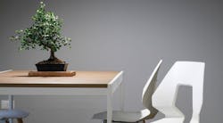 66fdc2e73cabd901baa6a3d6 Biophilic20interior Pixabay 66fdc2e73cabd901baa6a3d6 Biophilic20interior Pixabay