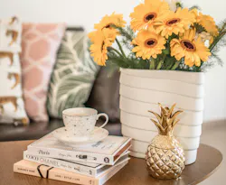 66fdc2ead4ea3870aba5a2a4 Eeaikeda676192unsplash 66fdc2ead4ea3870aba5a2a4 Eeaikeda676192unsplash