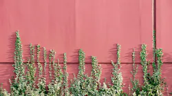 Photo: Unsplash