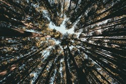 66fdc2ede63fdc0498458fd4 Kyleloftus763772unsplash 66fdc2ede63fdc0498458fd4 Kyleloftus763772unsplash