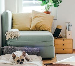 66fdc2f0a897b560e6b206ea Brinablum612693unsplash 66fdc2f0a897b560e6b206ea Brinablum612693unsplash