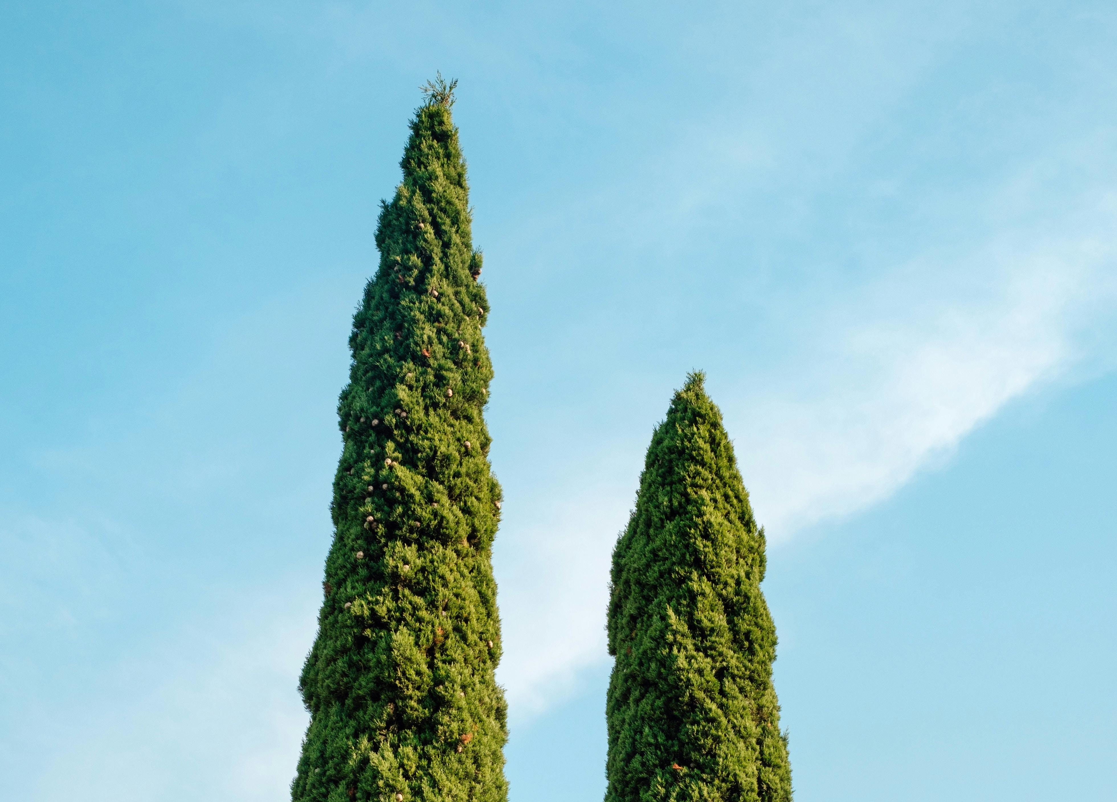 66fdc2f8d4ea38d1caa5a2ac Samuelzeller760158unsplash