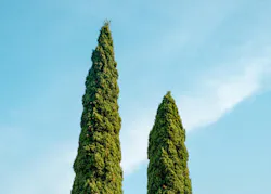 66fdc2f8d4ea38d1caa5a2ac Samuelzeller760158unsplash
