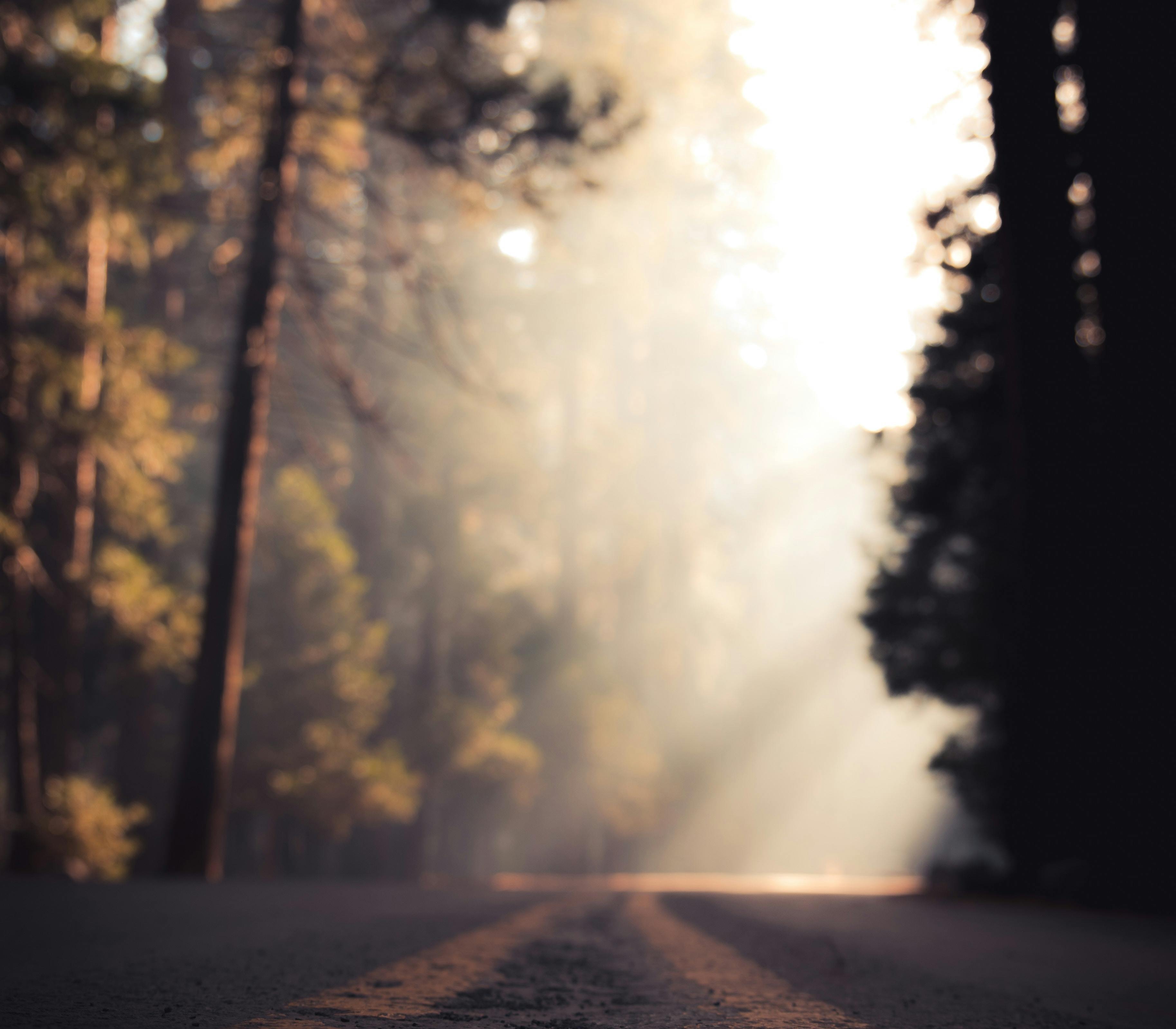 Photo: Unsplash/Casey Horner
