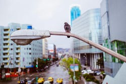 66fdc300dbd68e55664ab092 Edgarchaparro635893unsplash 66fdc300dbd68e55664ab092 Edgarchaparro635893unsplash