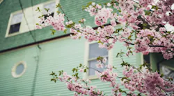 Photo: Unsplash/Mercedes Mehling