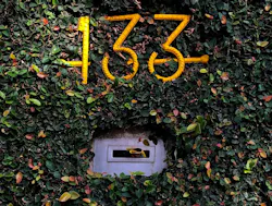 66fdc30ea897b5ed69b2070a Luanaazevedo687903unsplash 66fdc30ea897b5ed69b2070a Luanaazevedo687903unsplash