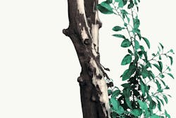 66fdc30edbd68eb5274ab09a Masoudmirzamani803031unsplash 66fdc30edbd68eb5274ab09a Masoudmirzamani803031unsplash