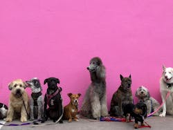 66fdc30edbd68eee544ab09b Hannahlim708852unsplash 66fdc30edbd68eee544ab09b Hannahlim708852unsplash