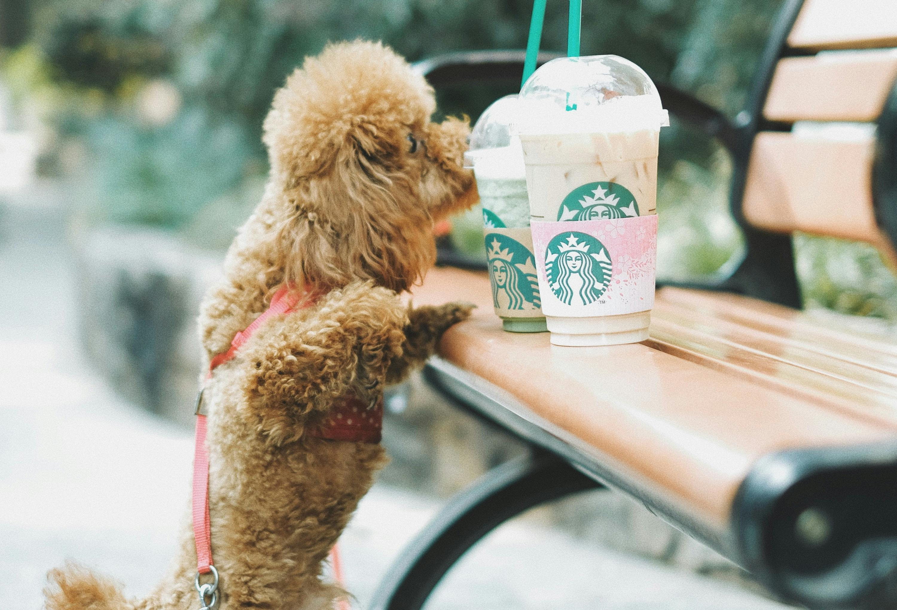 66fdc313e1fd4ab9a3e1f93d Thirteenj607630unsplash