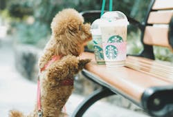 66fdc313e1fd4ab9a3e1f93d Thirteenj607630unsplash 66fdc313e1fd4ab9a3e1f93d Thirteenj607630unsplash