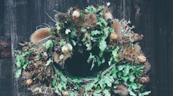 Photo: Unsplash/Annie Spratt