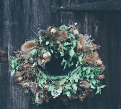 66fdc315a5dba03f7a462dfd Anniespratt179309unsplash 66fdc315a5dba03f7a462dfd Anniespratt179309unsplash