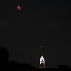 66fdc31ce63fdc193a459008 Matteograssi764161unsplash 66fdc31ce63fdc193a459008 Matteograssi764161unsplash