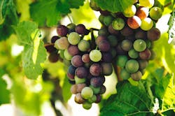 66fdc322a5dba03bc4462e0e Rohittandon67718unsplash 66fdc322a5dba03bc4462e0e Rohittandon67718unsplash