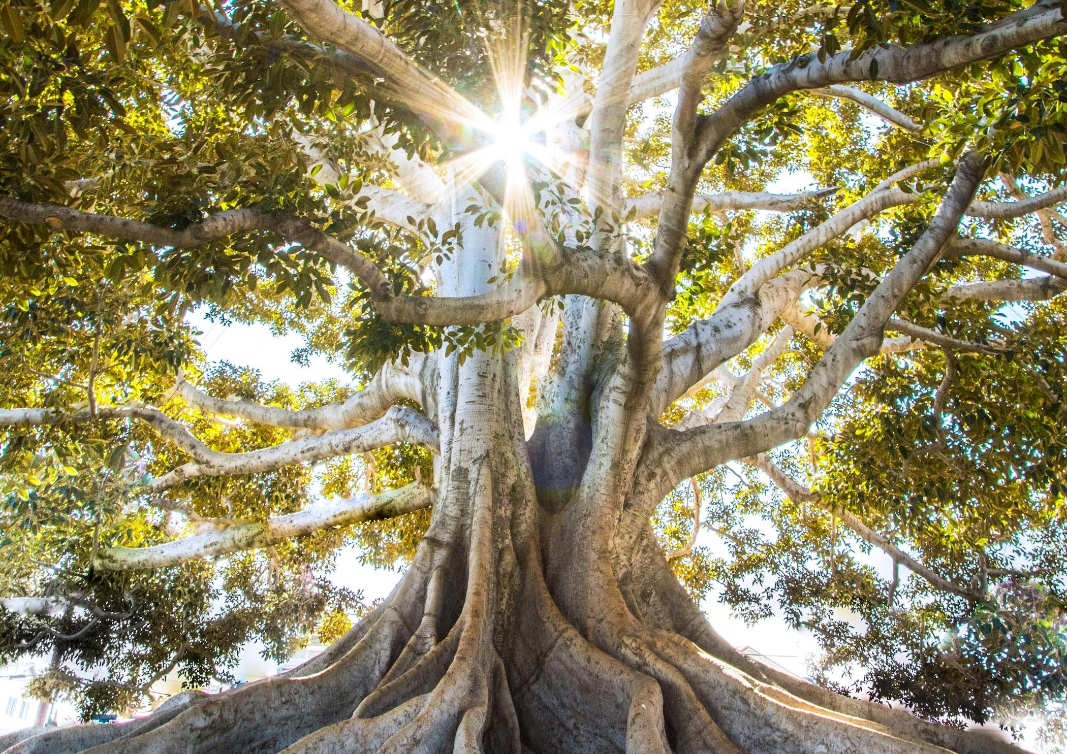 66fdc326dbd68e5b614ab0bd Jeremybishop556948unsplash 1