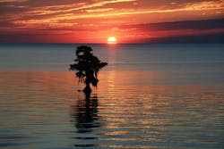 66fdc32701d3bf4afeaf8234 Markustinner658454unsplash 66fdc32701d3bf4afeaf8234 Markustinner658454unsplash