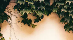 Photo: Unsplash/Zhang Kaiyv