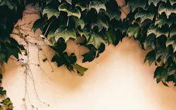 66fdc32f36c97e19248b6a08 Zhangkaiyv769819unsplash 66fdc32f36c97e19248b6a08 Zhangkaiyv769819unsplash