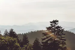 66fdc32fde5fd177b95494dd Seanstratton744803unsplash 66fdc32fde5fd177b95494dd Seanstratton744803unsplash