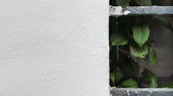 Photo: Unsplash/Paweł Czerwiński
