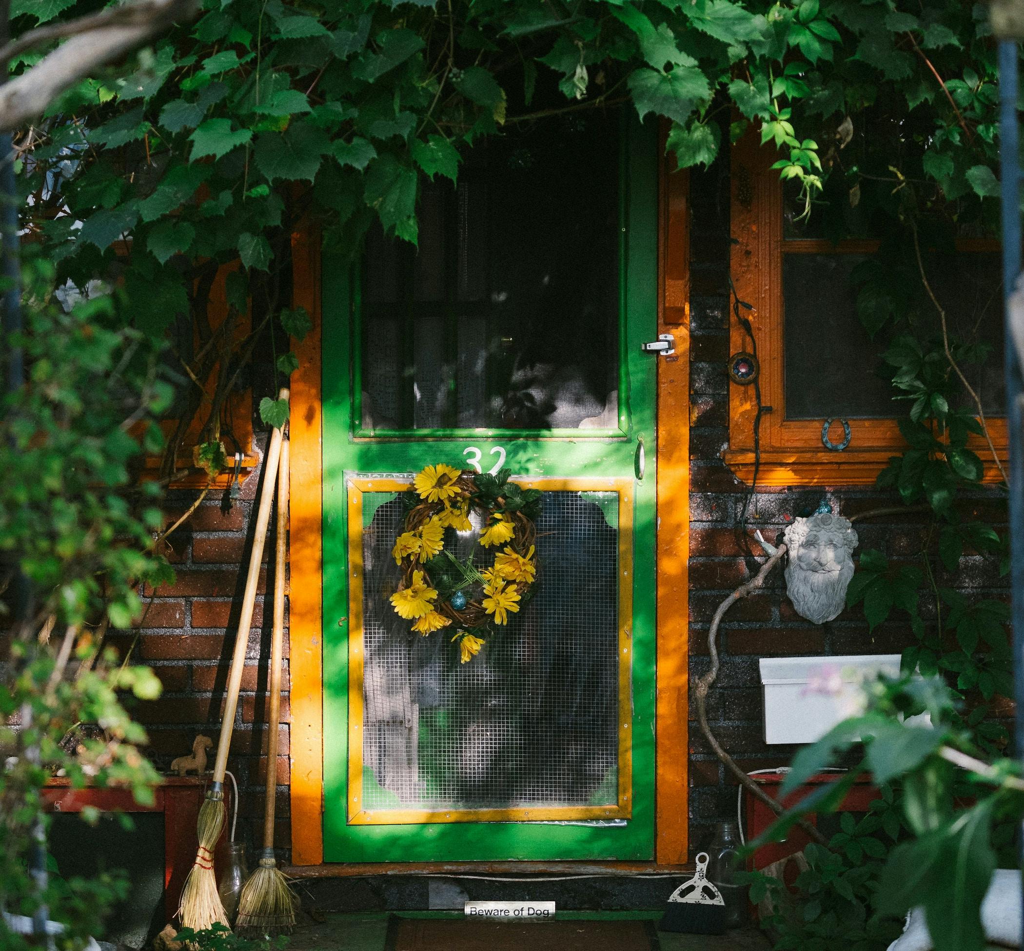 66fdc33ad4ea3889fea5a2d9 Scottwebb502762unsplash