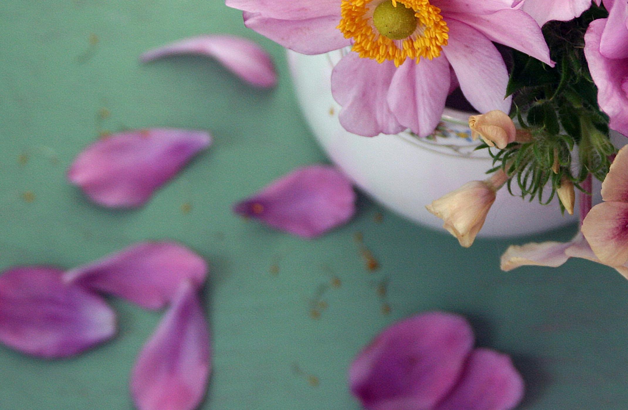 66fdc33e3cabd9cbbca6a42d Laurabriedis547884unsplash