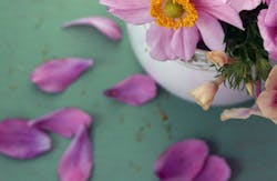 66fdc33e3cabd9cbbca6a42d Laurabriedis547884unsplash 66fdc33e3cabd9cbbca6a42d Laurabriedis547884unsplash