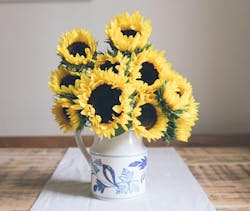 66fdc341dbd68e3e684ab0df Chrislawton785022unsplash 66fdc341dbd68e3e684ab0df Chrislawton785022unsplash