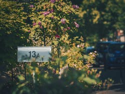 66fdc344d4ea38a9f6a5a2e4 Danielvonappen272294unsplash 66fdc344d4ea38a9f6a5a2e4 Danielvonappen272294unsplash
