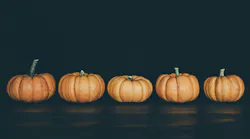 Photo: Unsplash/Debby Hudson