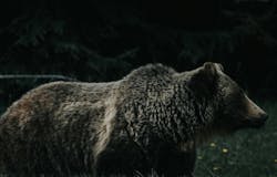 66fdc356a5dba0524e462e46 Jeremyvessey311354unsplash 66fdc356a5dba0524e462e46 Jeremyvessey311354unsplash