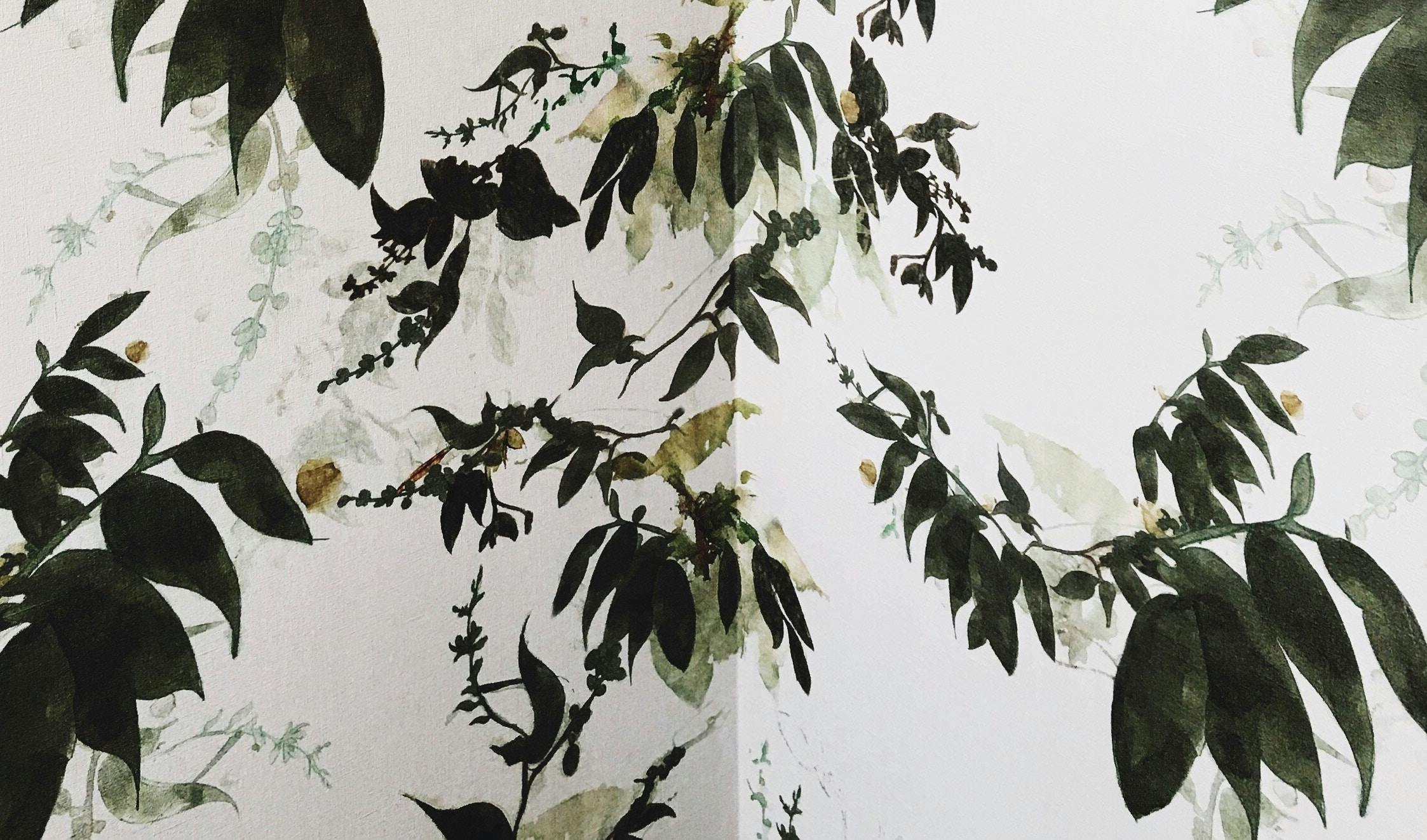 66fdc362e1fd4a0c84e1f981 Jontyson589844unsplash