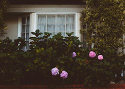 66fdc36401d3bff392af827b Nathandumlao1085990unsplash 66fdc36401d3bff392af827b Nathandumlao1085990unsplash