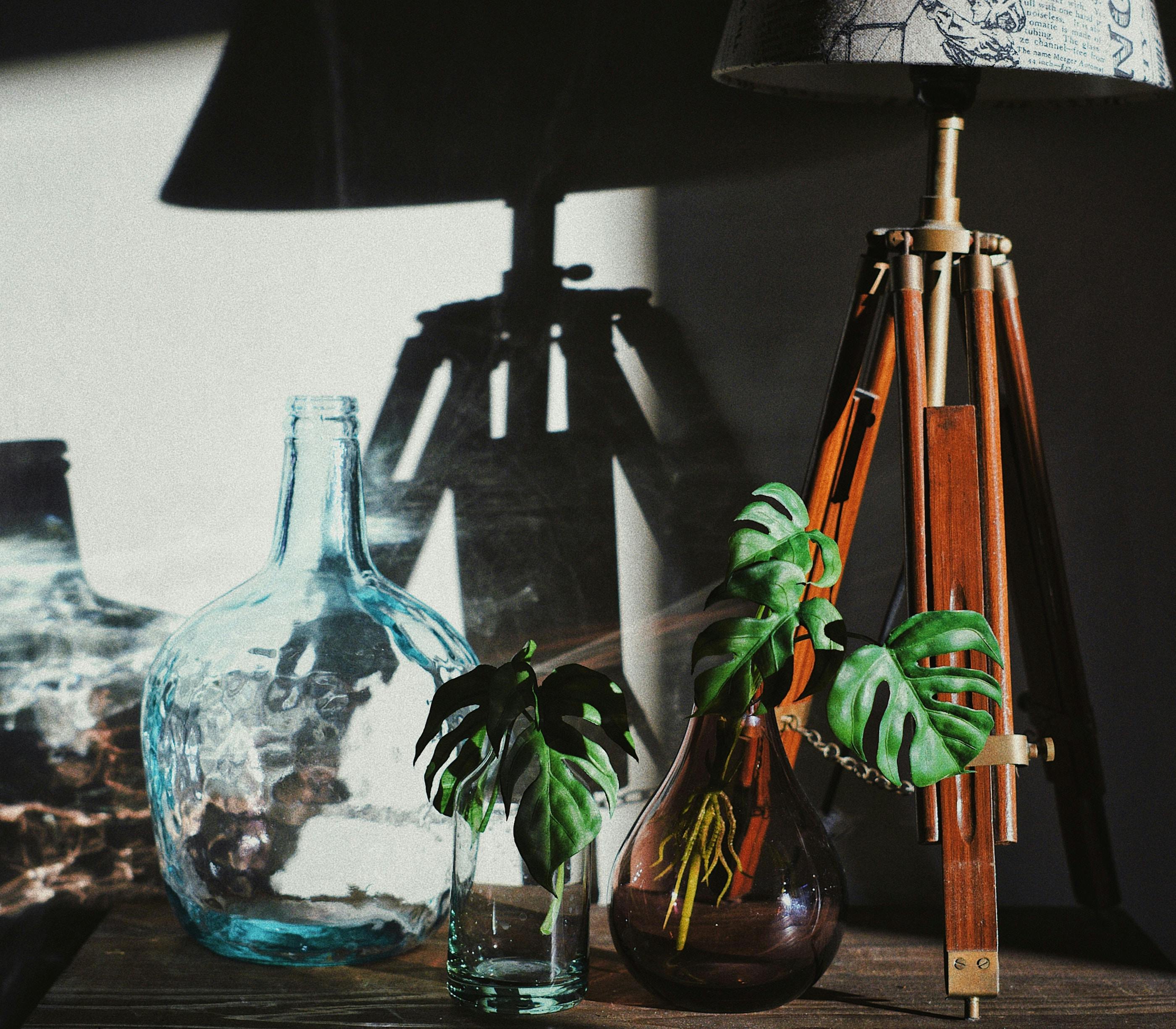 66fdc369a5dba0eb0c462e59 Timgoedhart650868unsplash