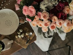 66fdc36ea897b54322b2076e Vikafleisher1095631unsplash 66fdc36ea897b54322b2076e Vikafleisher1095631unsplash