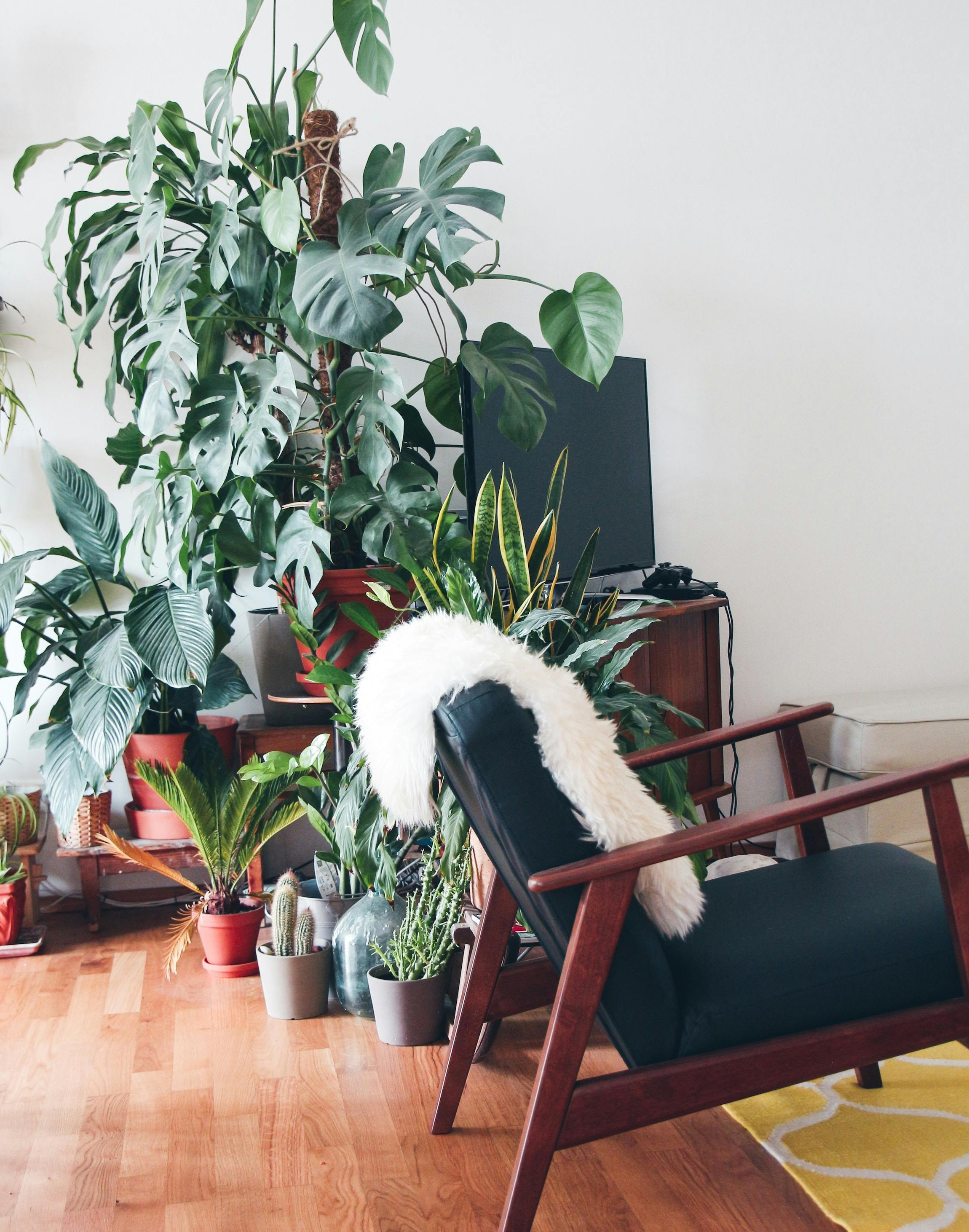 Photo: Unsplash/Brina Blum