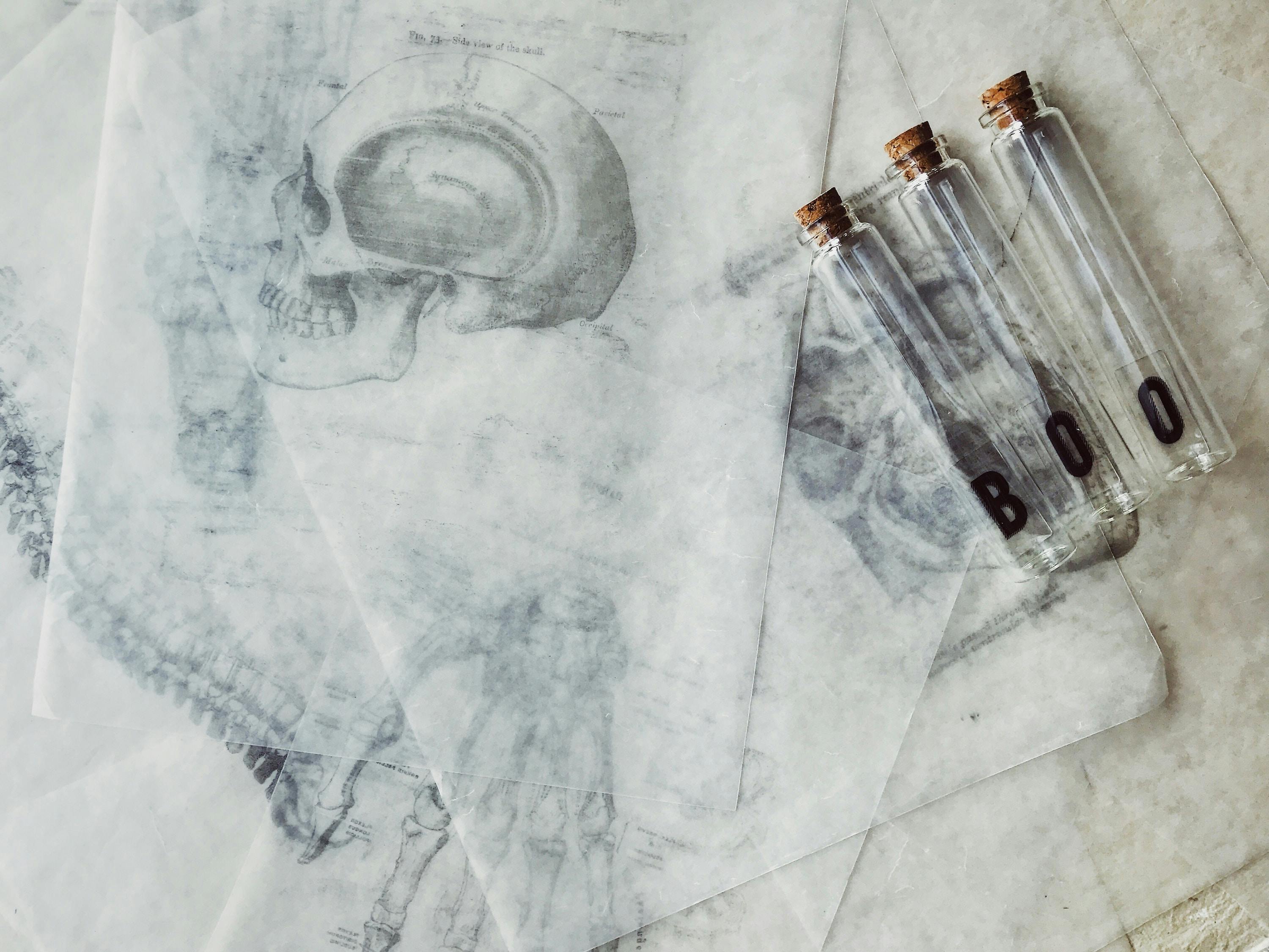 66fdc38ca897b515ceb2078a Joycemccown1106605unsplash