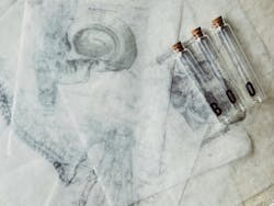 66fdc38ca897b515ceb2078a Joycemccown1106605unsplash 66fdc38ca897b515ceb2078a Joycemccown1106605unsplash