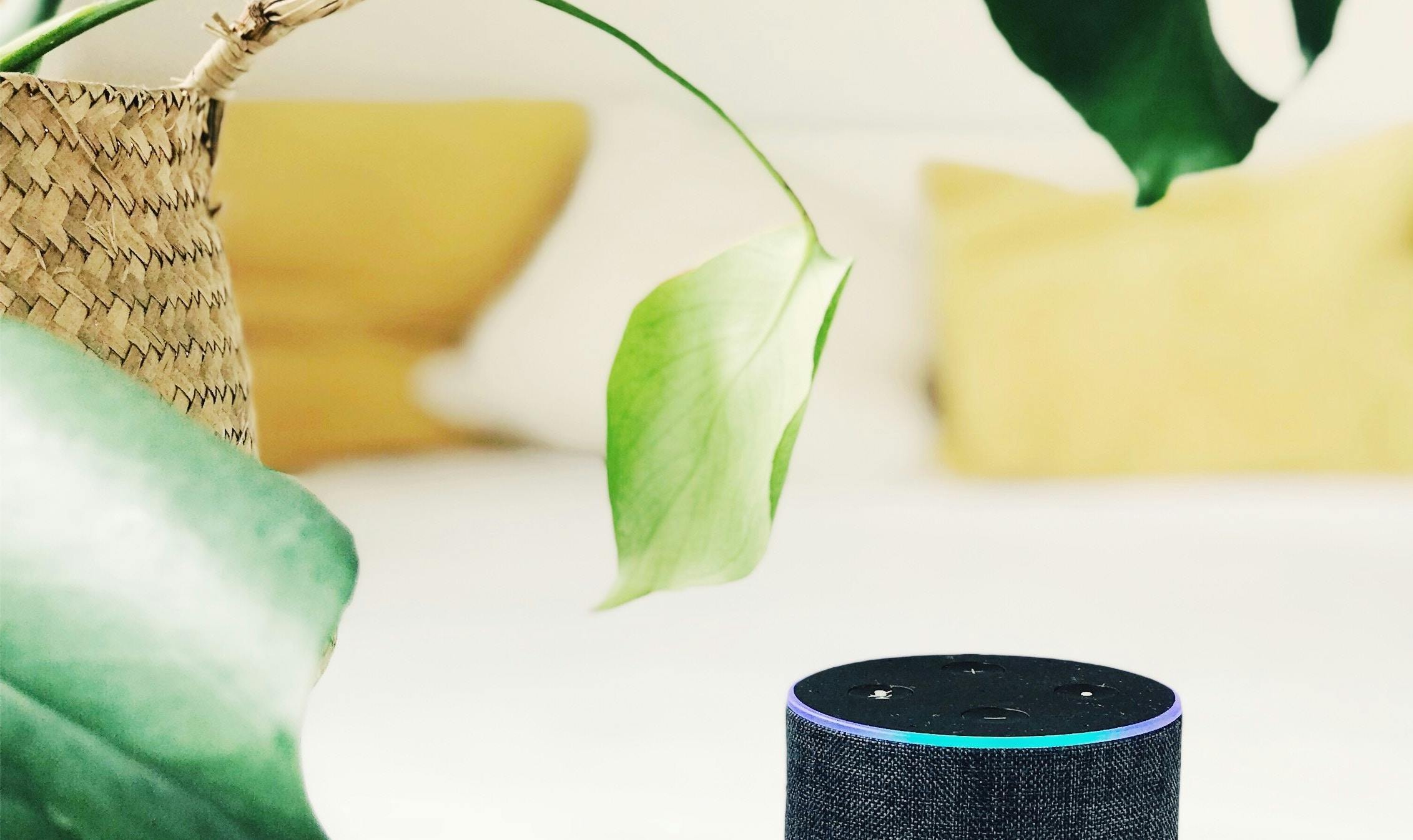 66fdc38f36c97ede758b6a60 Jankolar1048698unsplash