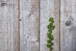 66fdc38f3cabd9479ca6a48a Viktorforgacsfollowme1124731unsplash 66fdc38f3cabd9479ca6a48a Viktorforgacsfollowme1124731unsplash