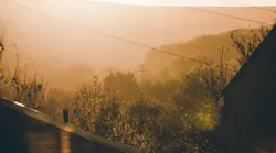 Photo: Unsplash/Dan Rogers