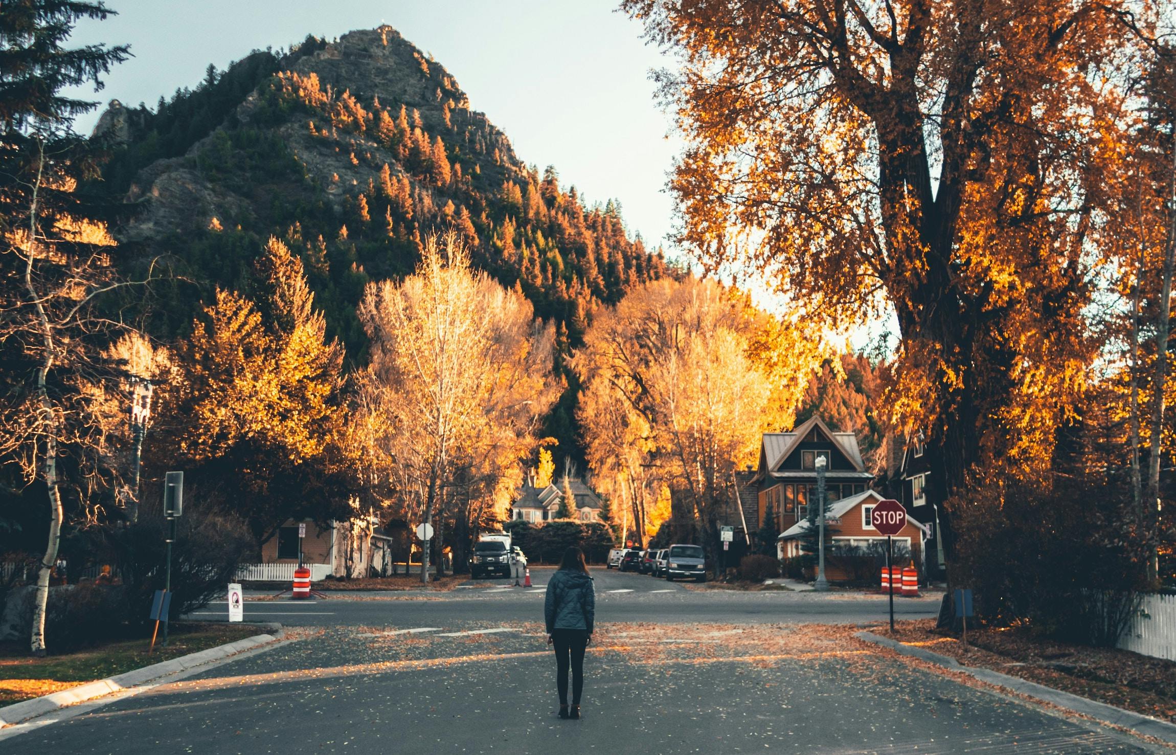 66fdc392d4ea389590a5a32a Jamiefenn1126850unsplash