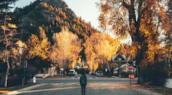 Photo: Unsplash/Jamie Fenn